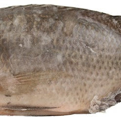 Collection image for: Frozen Fish