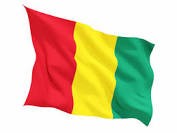 Guinee products